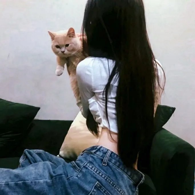 爱情上上签