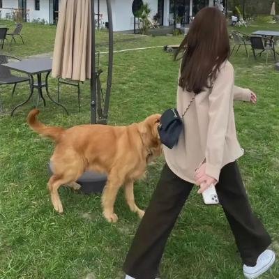 肚假情真
